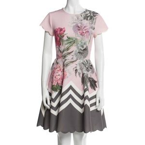 Ted Baker Floral Print Mini Dress